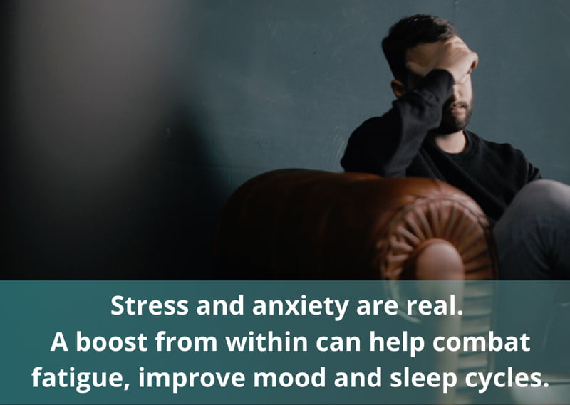 B Vitamins are your best stress-busting weapon here's why