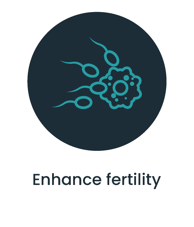 Benefits of Intravenous Vitamin Therapy | Enhance Fertility