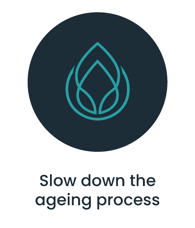 Benefits of Intravenous Vitamin Therapy | Slow Ageing